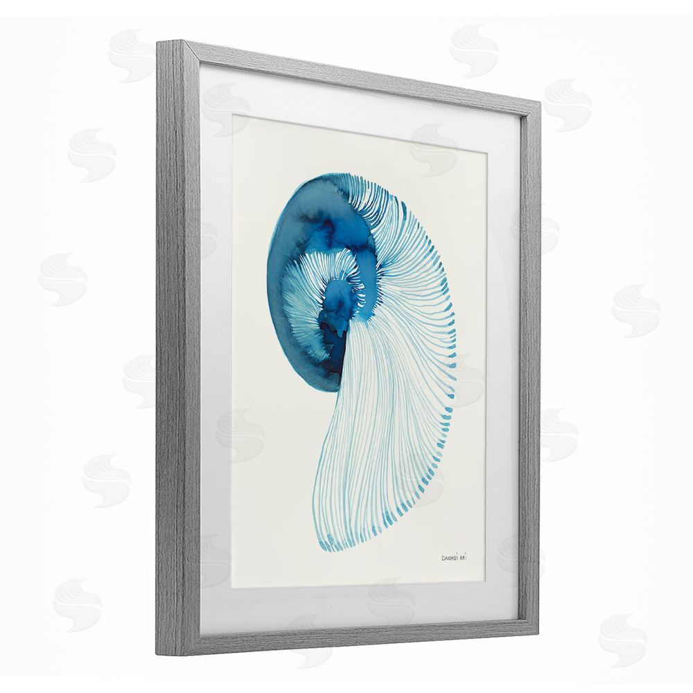 Danhui Nai Blue Watercolor Nautilus Gray Framed Print Under Glass Wall Art