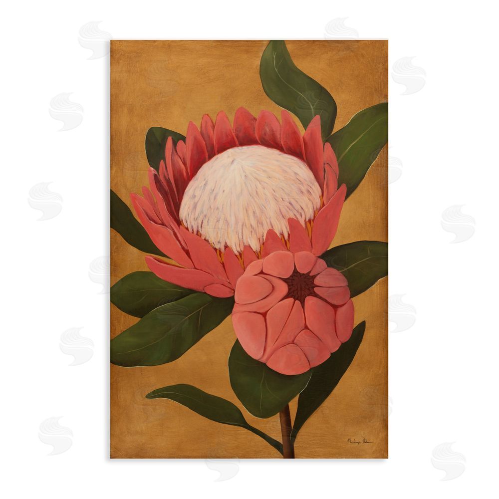 Mackenzie Nelson Bloomed Protea on Gold Stretched Canvas Wall Art Print