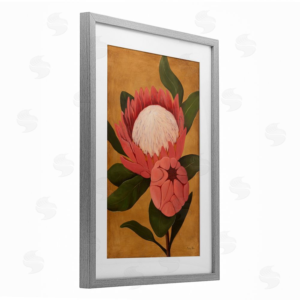 Mackenzie Nelson Bloomed Protea on Gold Gray Framed Print Under Glass Wall Art