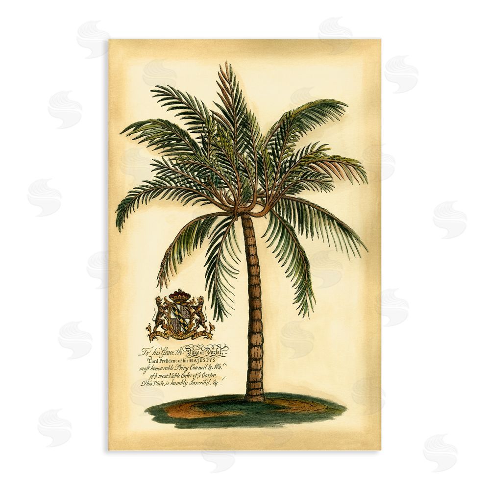 Vision Studio British Colonial Palm Stretched Canvas Wall Art Print