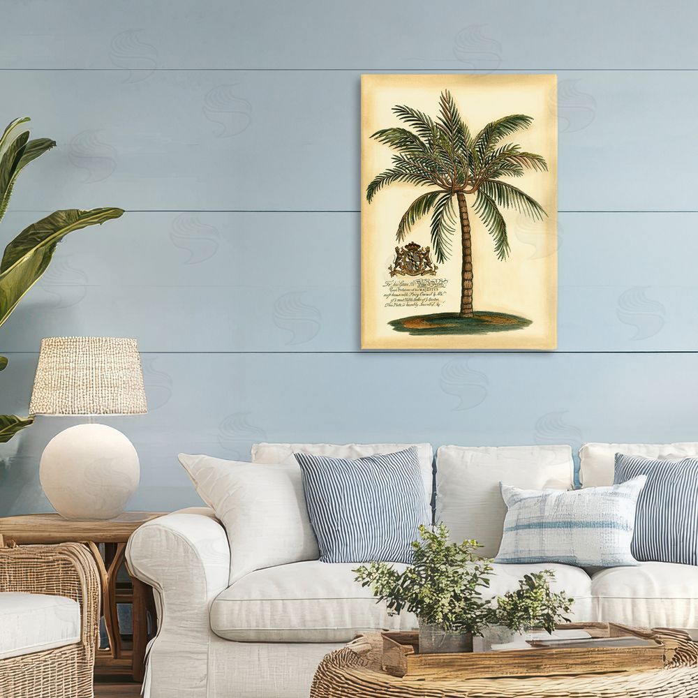 Vision Studio British Colonial Palm 