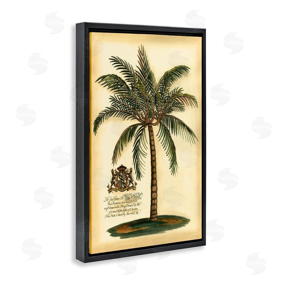 Vision Studio British Colonial Palm Black Floating Frame Canvas Wall Art Print