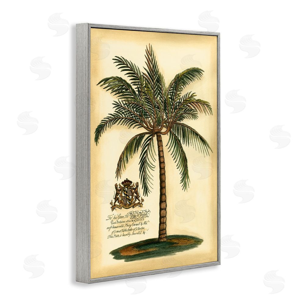 Vision Studio British Colonial Palm Gray Framed Giclee Wall Art Print