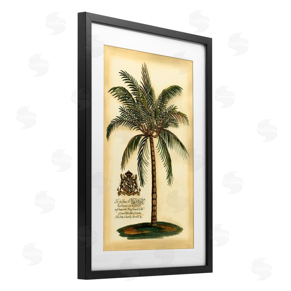 Vision Studio British Colonial Palm Black Framed Print Under Glass Wall Art