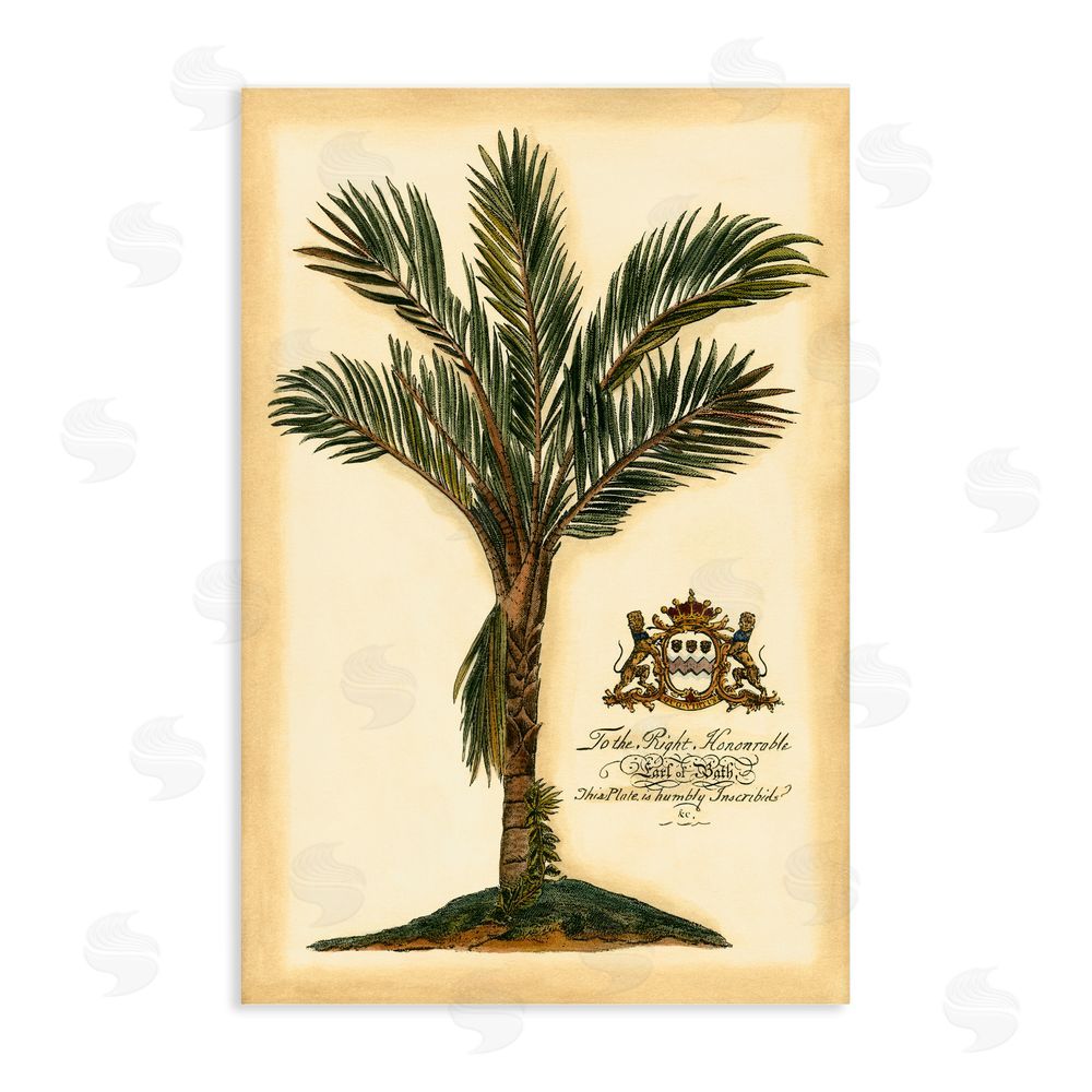 Vision Studio Vintage Colonial Palm Stretched Canvas Wall Art Print
