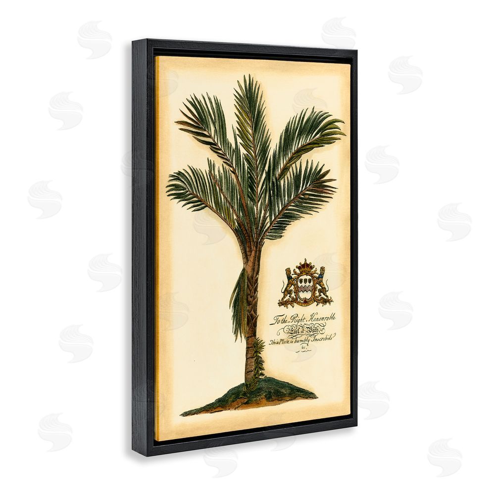 Vision Studio Vintage Colonial Palm Black Floating Frame Canvas Wall Art Print