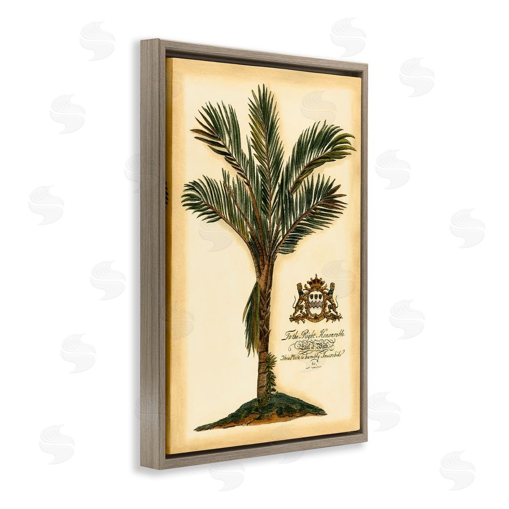 Vision Studio Vintage Colonial Palm Brown Floating Frame Canvas Wall Art Print