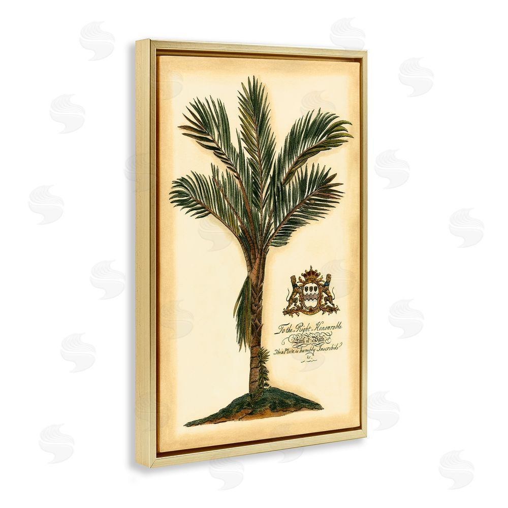 Vision Studio Vintage Colonial Palm Gold Floating Frame Canvas Wall Art Print