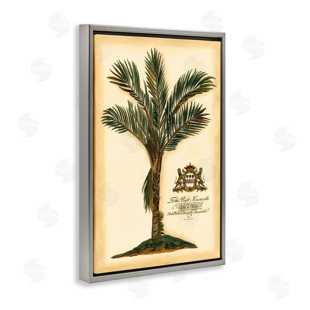 Vision Studio Vintage Colonial Palm Gray Floating Frame Canvas Wall Art Print