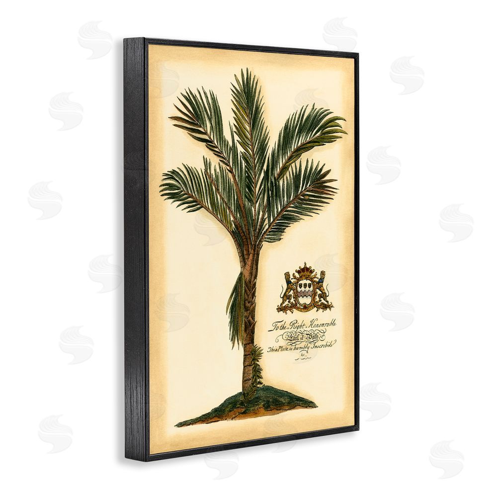 Vision Studio Vintage Colonial Palm Black Framed Giclee Wall Art Print