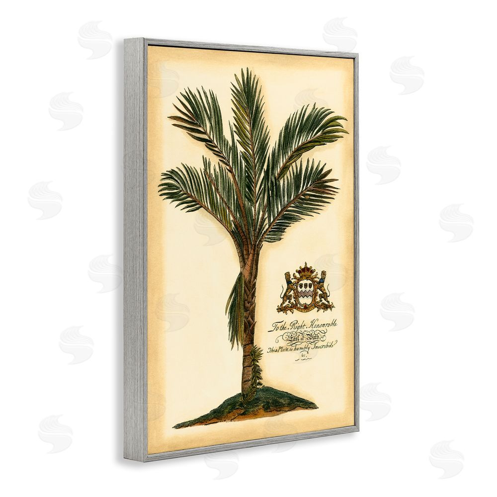 Vision Studio Vintage Colonial Palm Gray Framed Giclee Wall Art Print