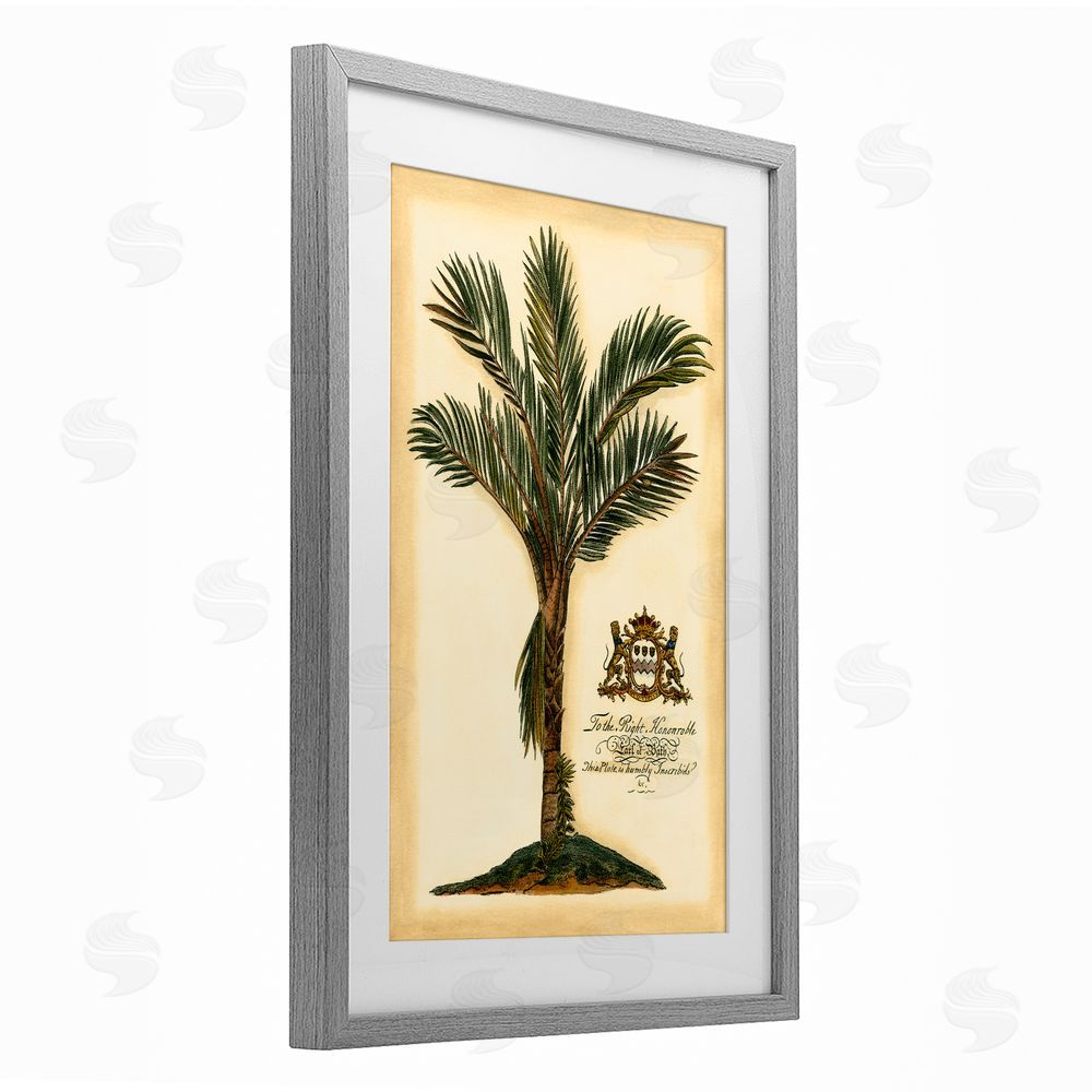 Vision Studio Vintage Colonial Palm Gray Framed Print Under Glass Wall Art
