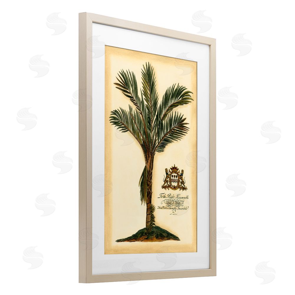 Vision Studio Vintage Colonial Palm Brown Framed Print Under Glass Wall Art