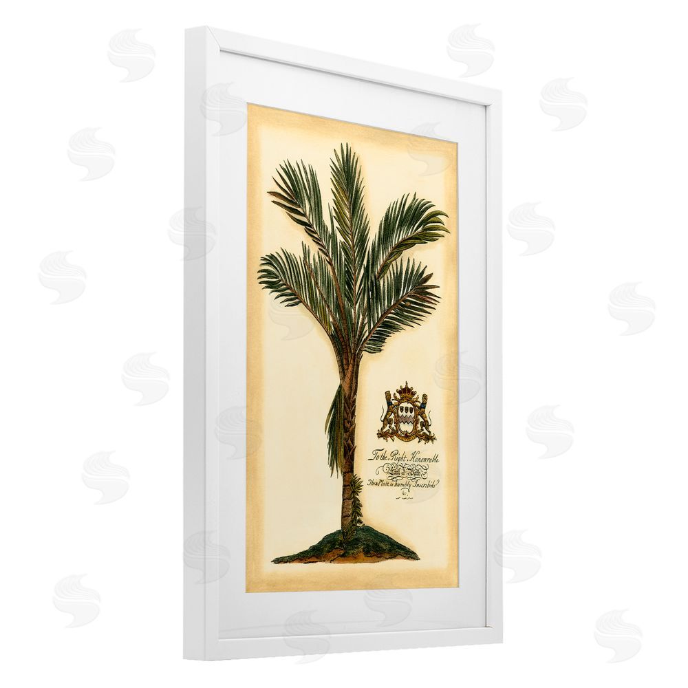Vision Studio Vintage Colonial Palm White Framed Print Under Glass Wall Art