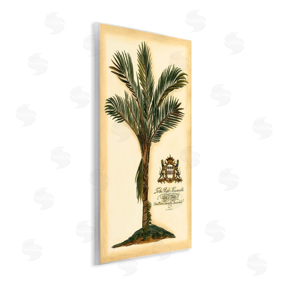 Vision Studio Vintage Colonial Palm Wooden Wall Plaque Art Print