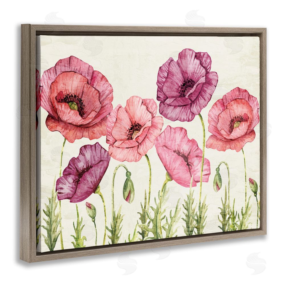 Kim Allen Poppy Days Vintage Blooms Brown Floating Frame Canvas Wall Art Print