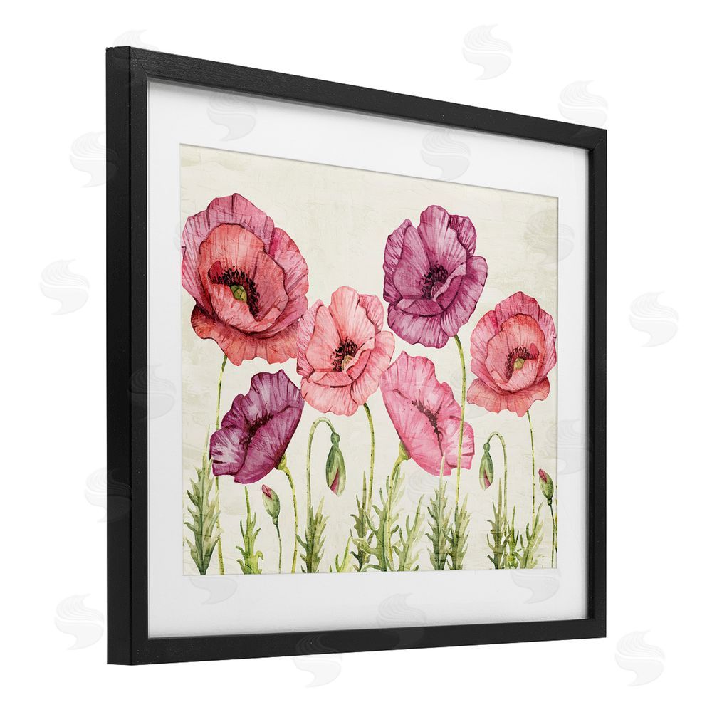 Kim Allen Poppy Days Vintage Blooms Black Framed Print Under Glass Wall Art