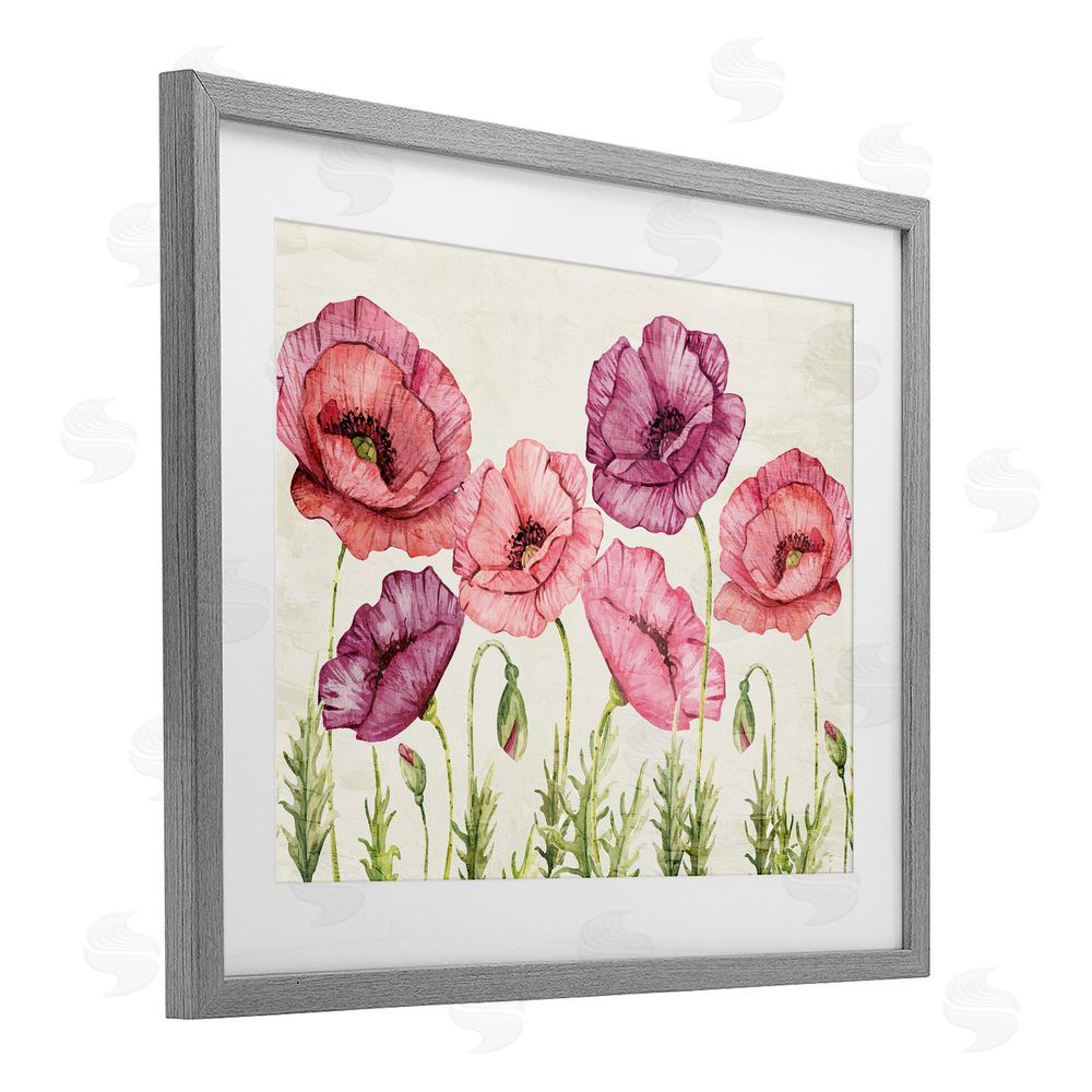 Kim Allen Poppy Days Vintage Blooms Gray Framed Print Under Glass Wall Art
