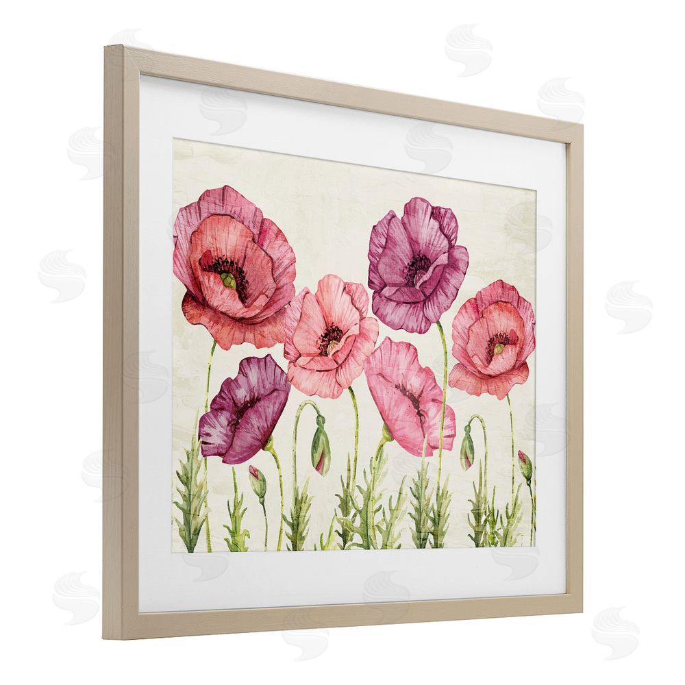 Kim Allen Poppy Days Vintage Blooms Brown Framed Print Under Glass Wall Art