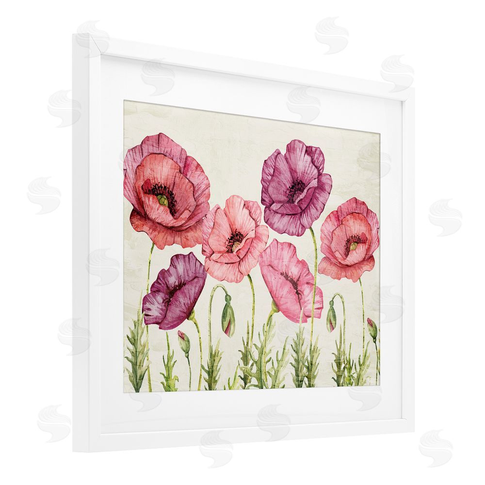 Kim Allen Poppy Days Vintage Blooms White Framed Print Under Glass Wall Art