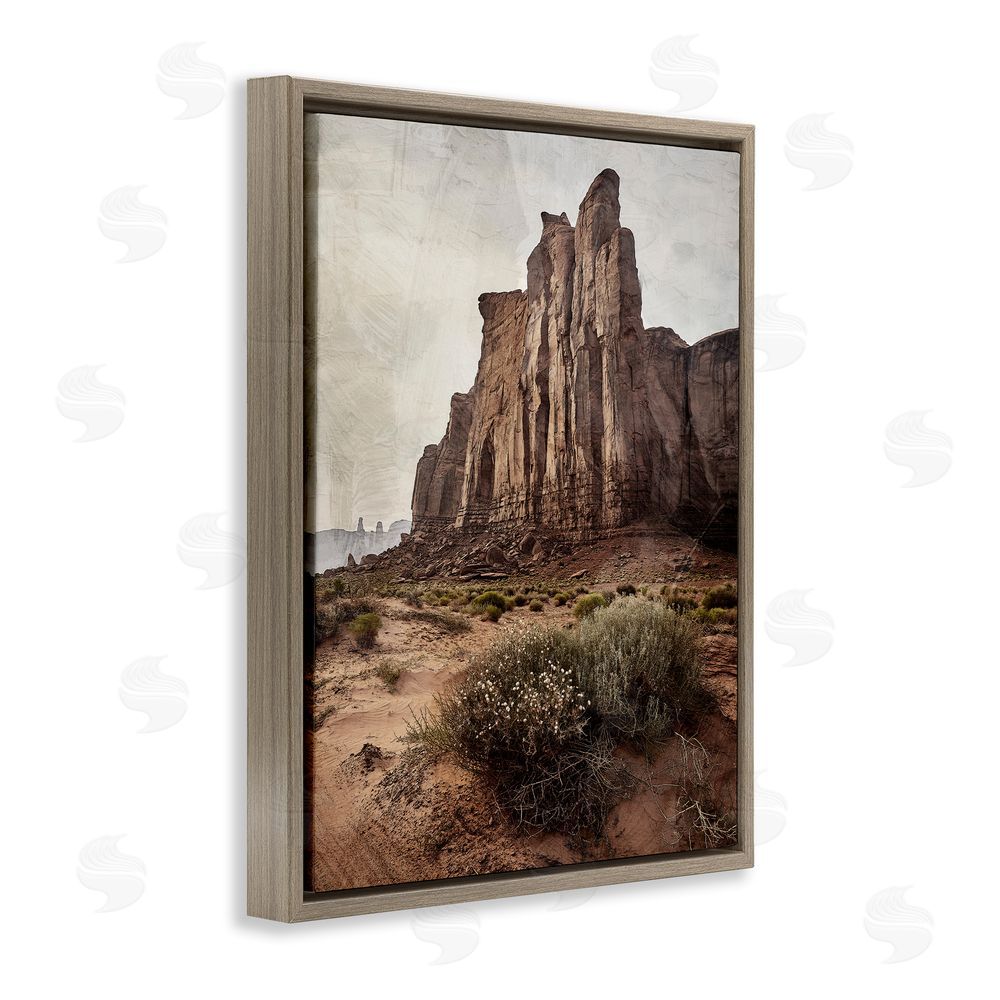 Kim Allen Desolate Rock View Brown Floating Frame Canvas Wall Art Print