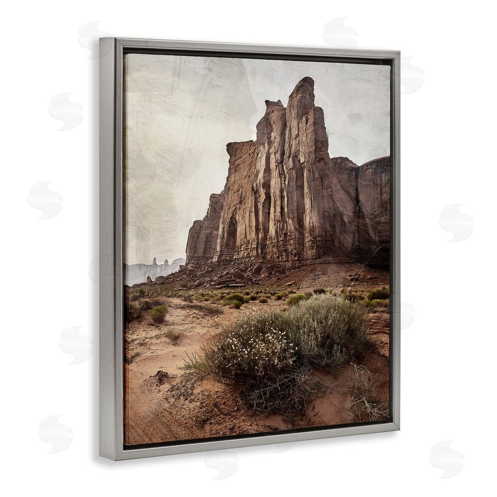 Kim Allen Desolate Rock View Gray Floating Frame Canvas Wall Art Print