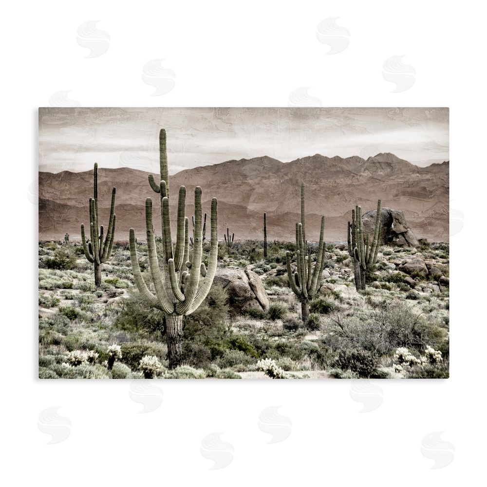 Kim Allen Desert Land Cacti Wilderness Stretched Canvas Wall Art Print