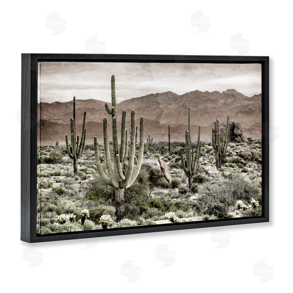 Kim Allen Desert Land Cacti Wilderness Black Floating Frame Canvas Wall Art Print