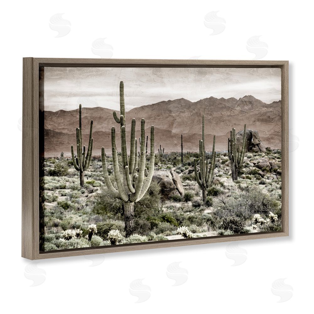 Kim Allen Desert Land Cacti Wilderness Brown Floating Frame Canvas Wall Art Print