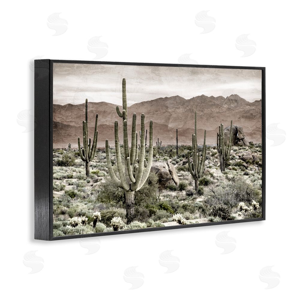 Kim Allen Desert Land Cacti Wilderness Black Framed Giclee Wall Art Print