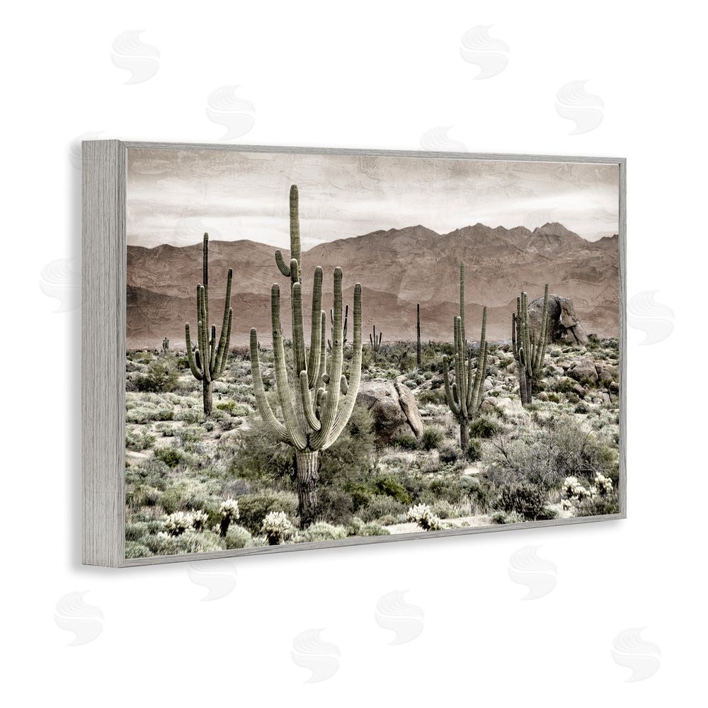 Kim Allen Desert Land Cacti Wilderness Gray Framed Giclee Wall Art Print