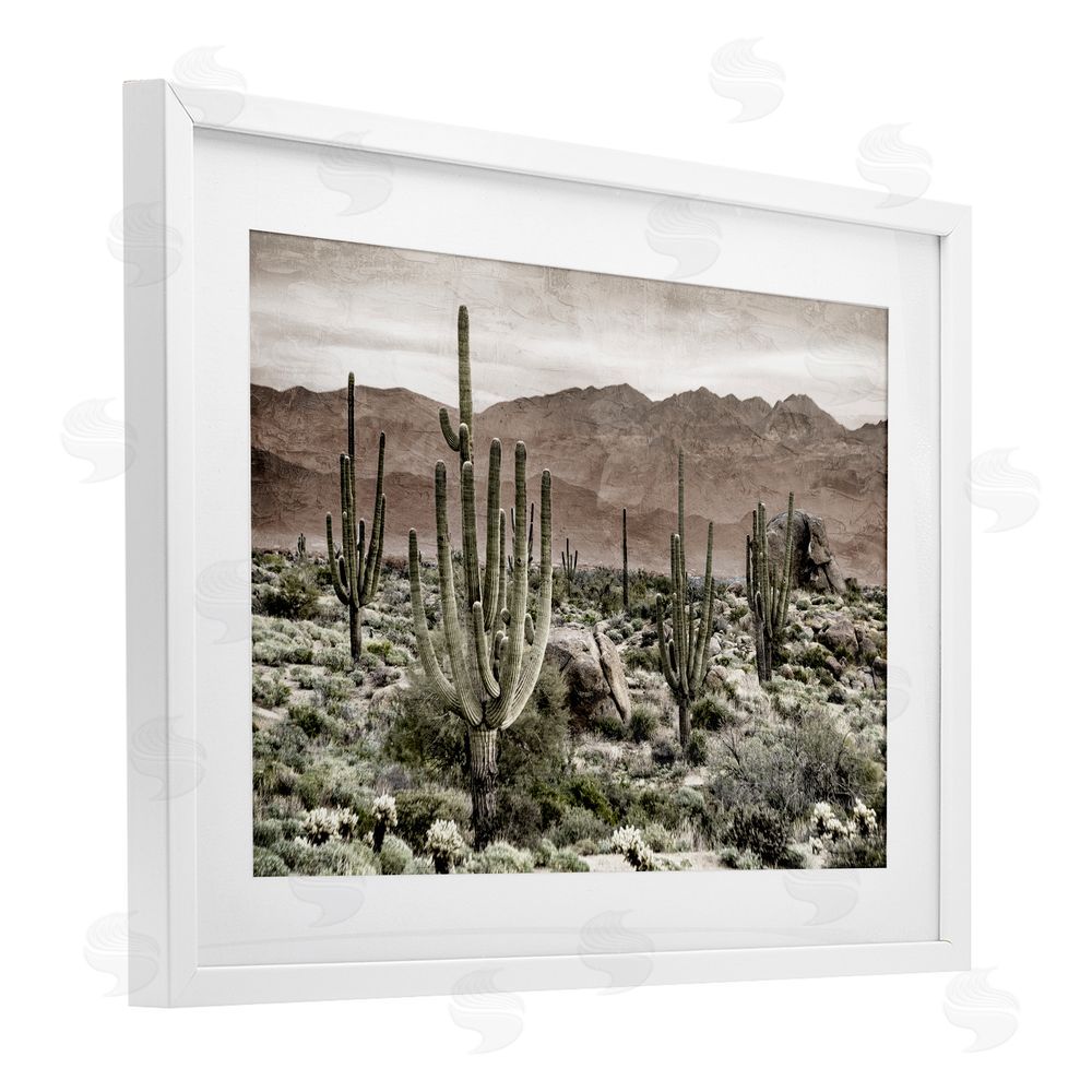 Kim Allen Desert Land Cacti Wilderness White Framed Print Under Glass Wall Art