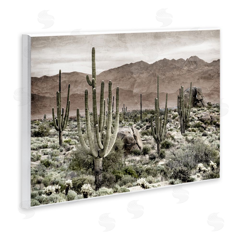 Kim Allen Desert Land Cacti Wilderness Wooden Wall Plaque Art Print