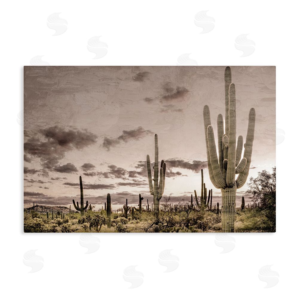 Kim Allen Desert Sky Wilderness Stretched Canvas Wall Art Print