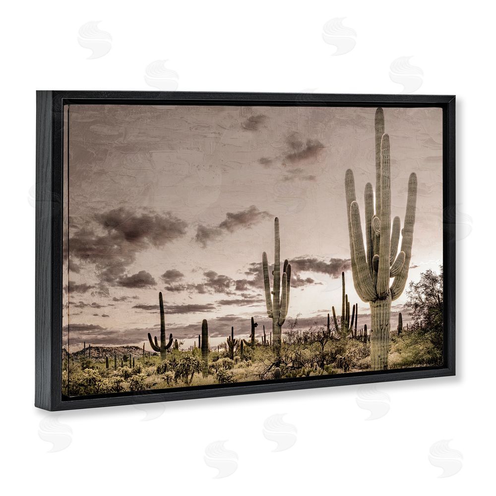 Kim Allen Desert Sky Wilderness Black Floating Frame Canvas Wall Art Print