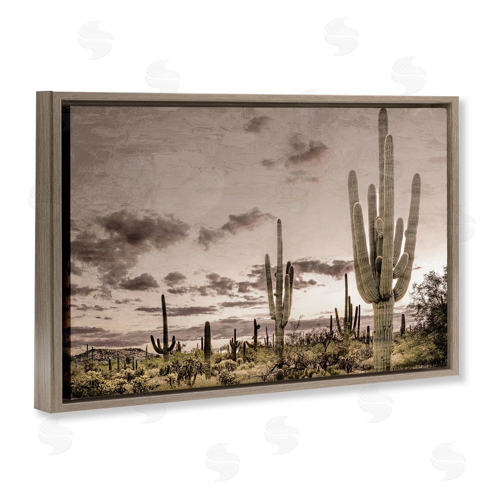Kim Allen Desert Sky Wilderness Brown Floating Frame Canvas Wall Art Print