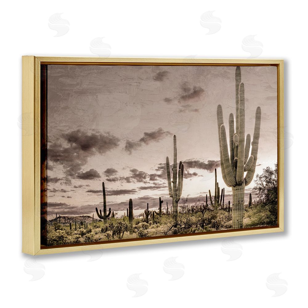 Kim Allen Desert Sky Wilderness Gold Floating Frame Canvas Wall Art Print