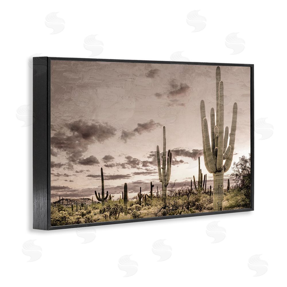 Kim Allen Desert Sky Wilderness Black Framed Giclee Wall Art Print