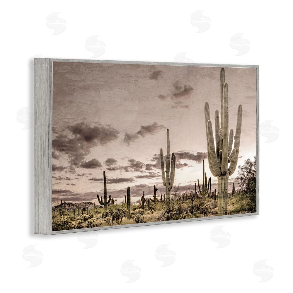 Kim Allen Desert Sky Wilderness Gray Framed Giclee Wall Art Print