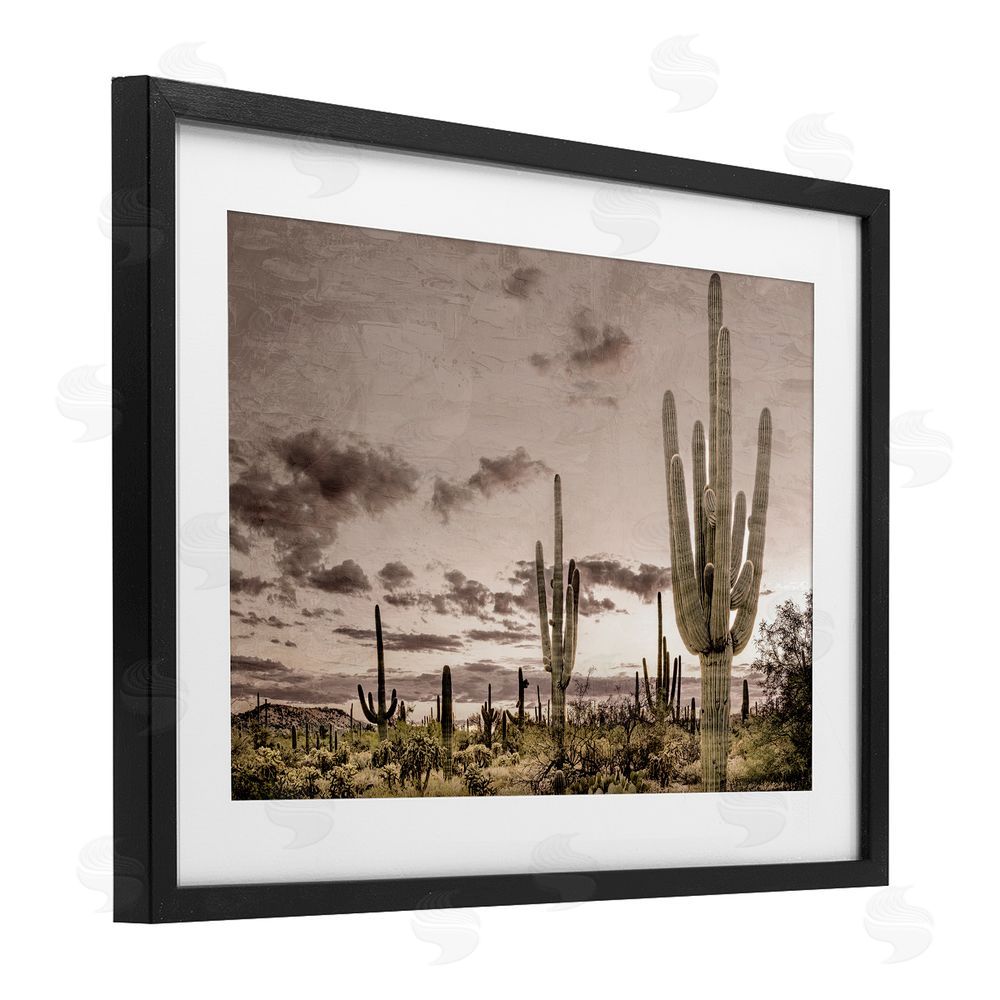 Kim Allen Desert Sky Wilderness Black Framed Print Under Glass Wall Art