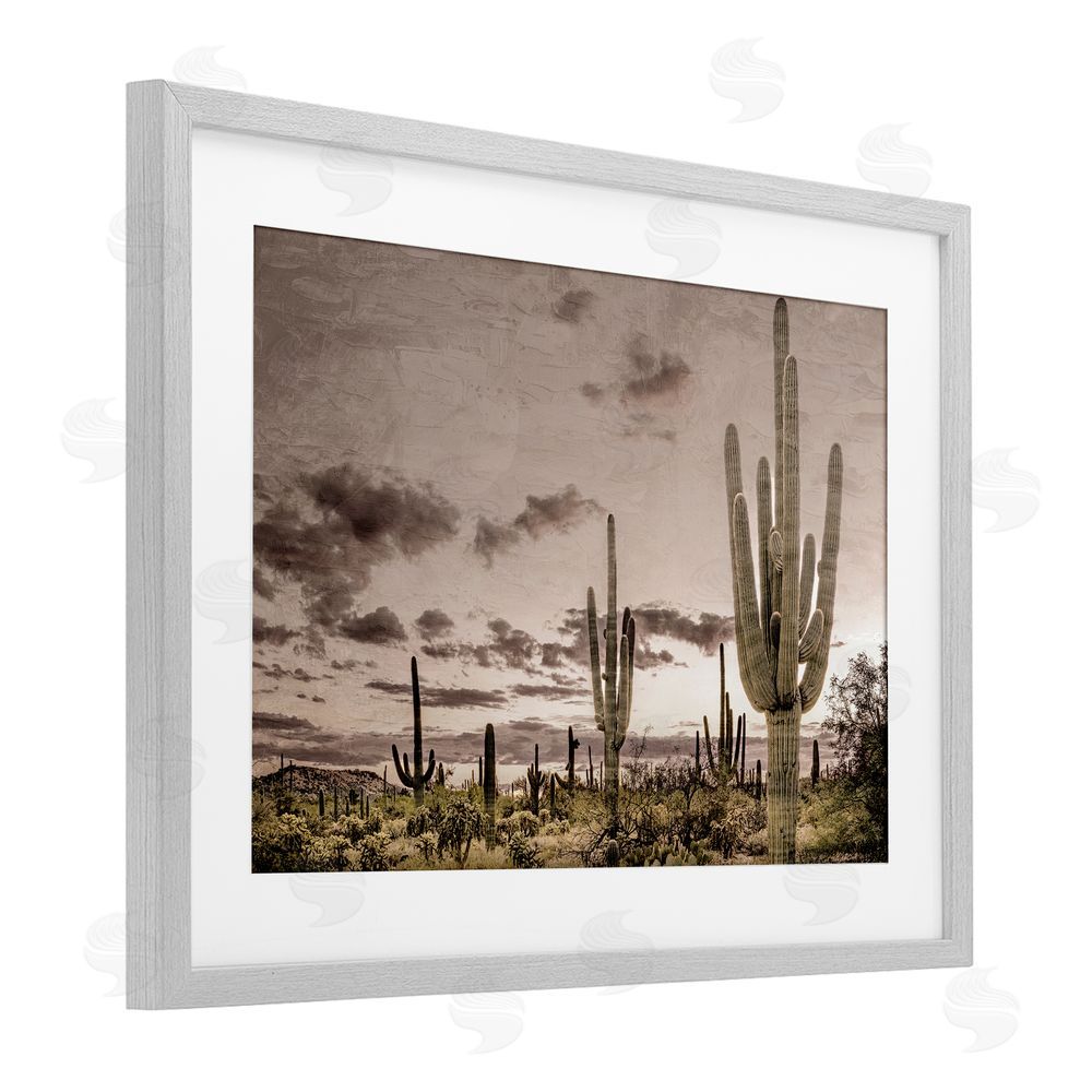 Kim Allen Desert Sky Wilderness Gray Framed Print Under Glass Wall Art