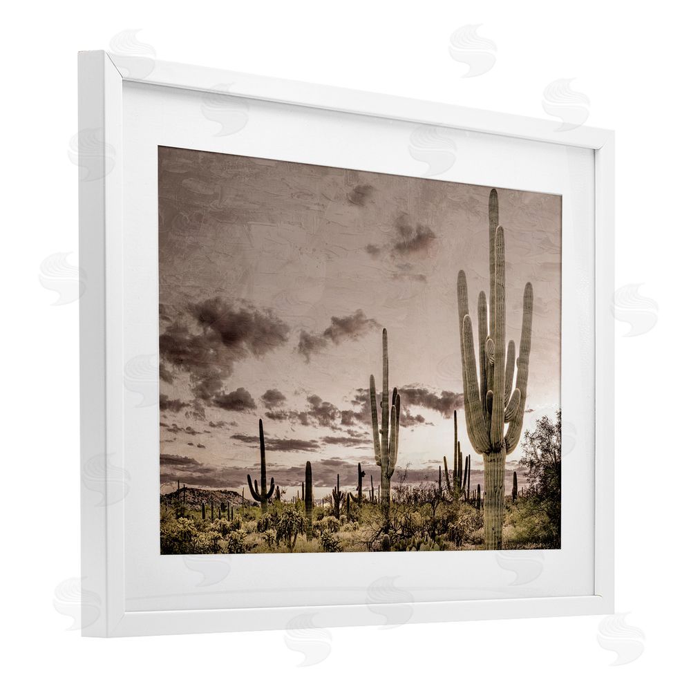 Kim Allen Desert Sky Wilderness White Framed Print Under Glass Wall Art