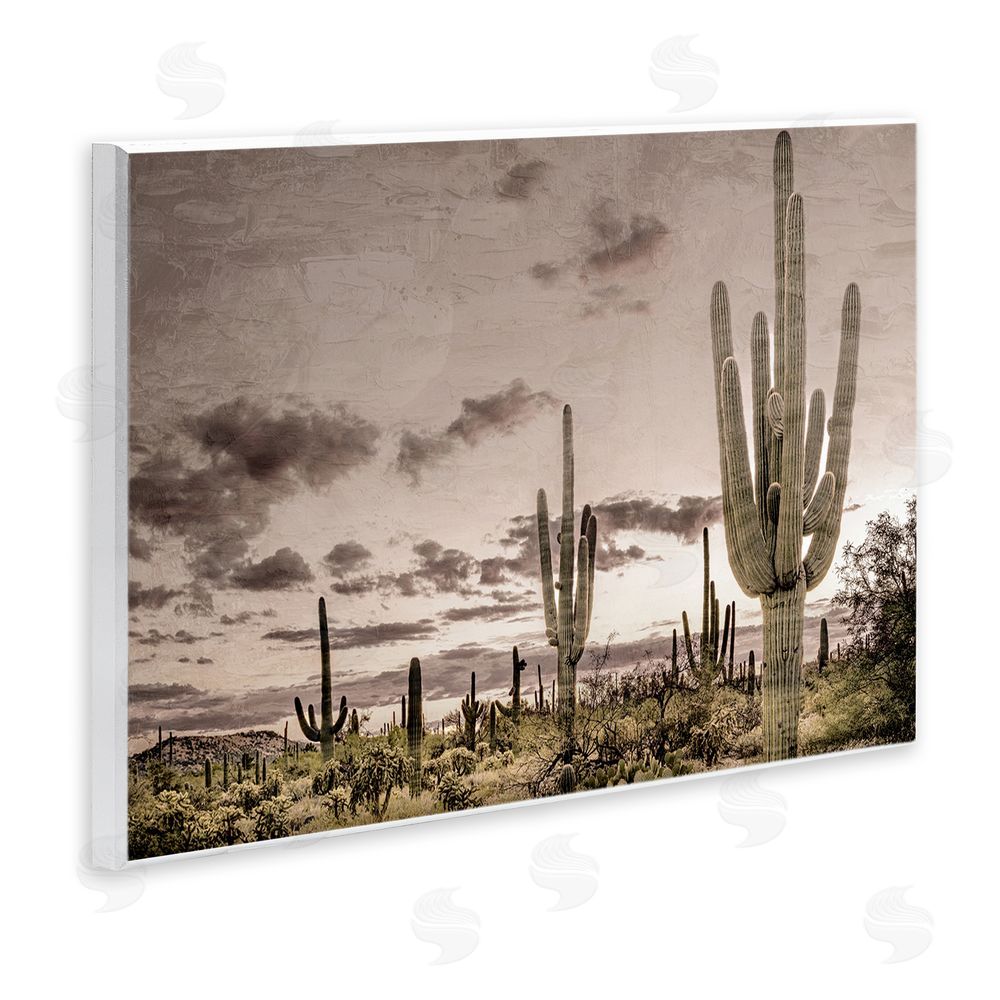 Kim Allen Desert Sky Wilderness Wooden Wall Plaque Art Print