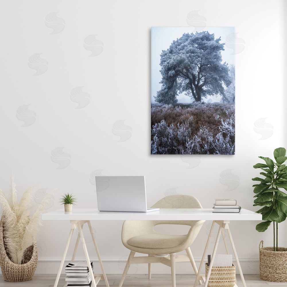 Martin Podt Frosted Tree in Winter Mist Stretched Canvas Wall Art in Room