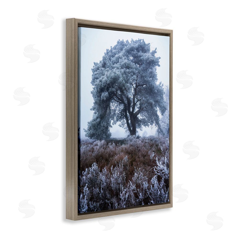 Martin Podt Frosted Tree in Winter Mist Brown Floating Framed Canvas Wall Art