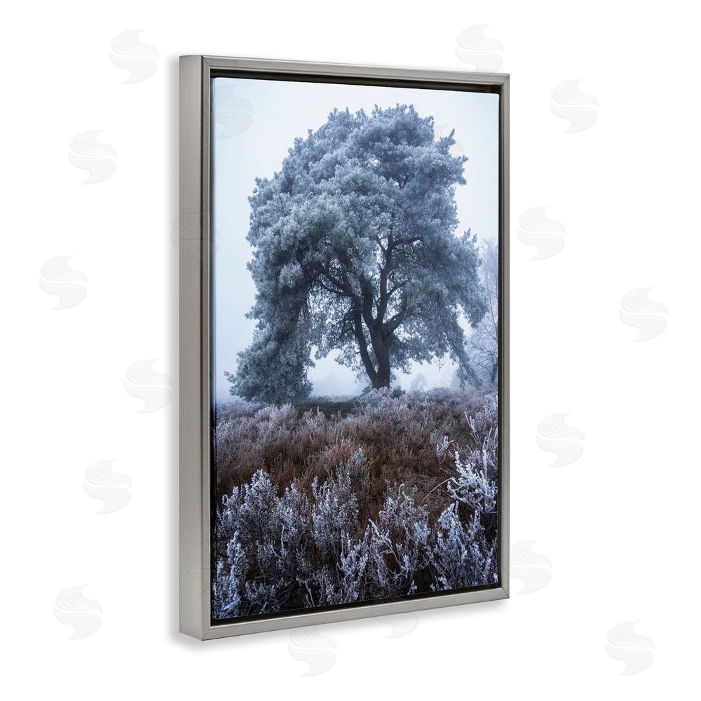 Martin Podt Frosted Tree in Winter Mist Gray Floating Framed Canvas Wall Art