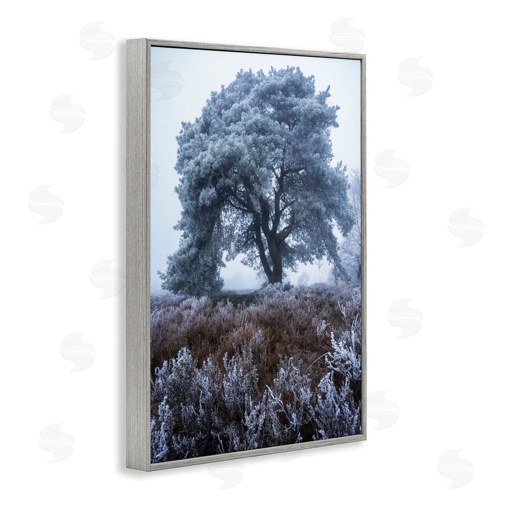 Martin Podt Frosted Tree in Winter Mist Gray Framed Giclee Wall Art