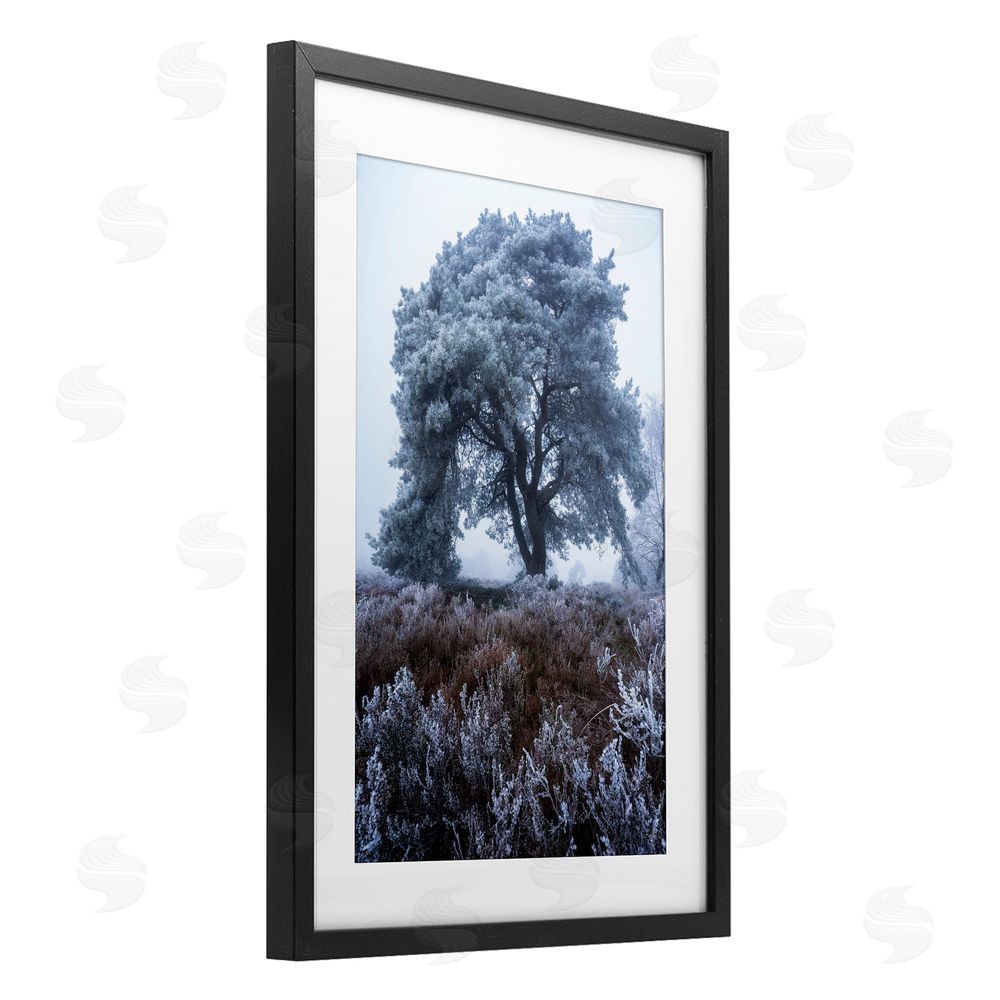 Martin Podt Frosted Tree in Winter Mist Black Framed Print Under Glass Wall Art