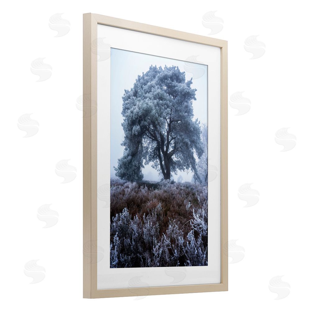 Martin Podt Frosted Tree in Winter Mist Brown Framed Print Under Glass Wall Art