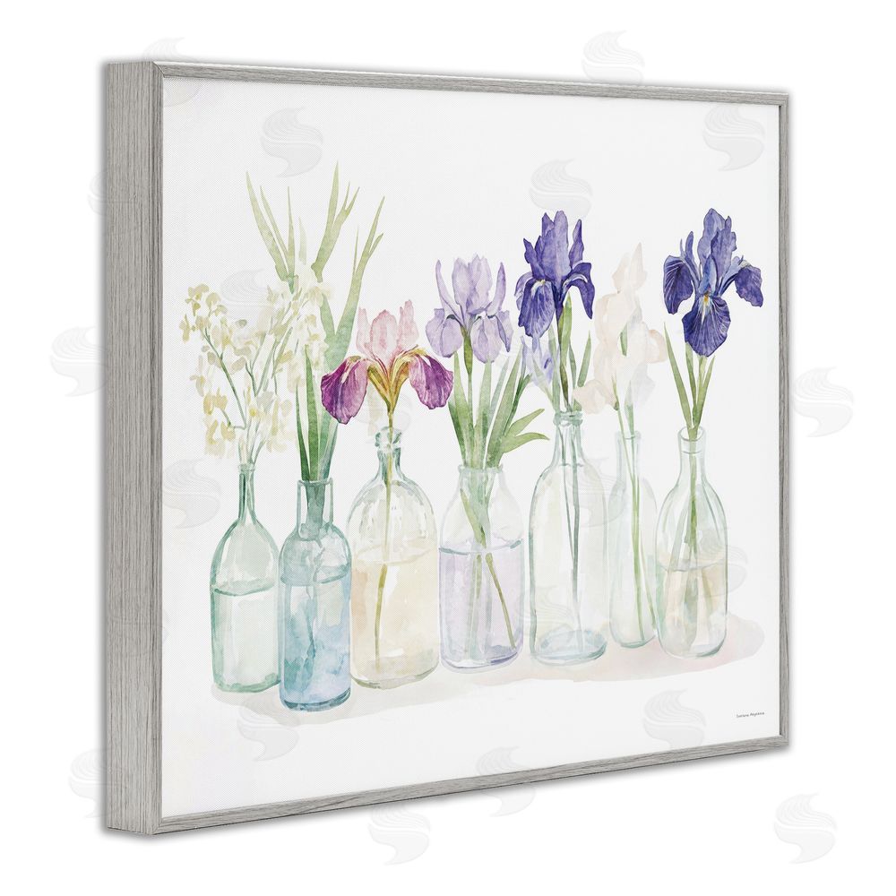 Svetlana Aleynikova Irises in Glass Bottles Gray Framed Giclee Wall Art Print